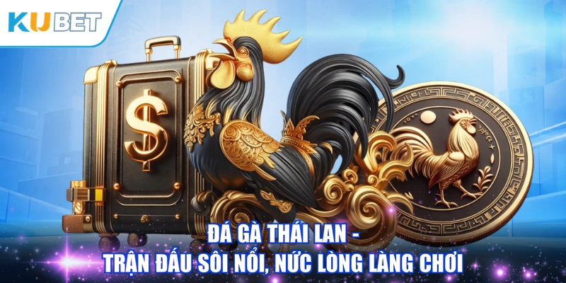 Đá Gà Thái Lan - Trận Đấu Sôi Nổi, Nức Lòng Làng Chơi