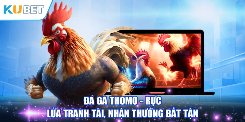 Đá Gà Thomo - Rực Lửa Tranh Tài, Nhận Thưởng Bất Tận