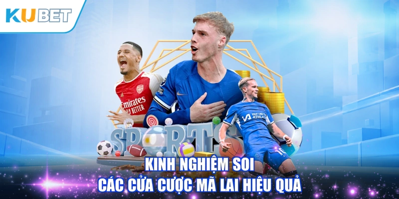Kinh nghiệm soi các cửa cược Mã Lai hiệu quả
